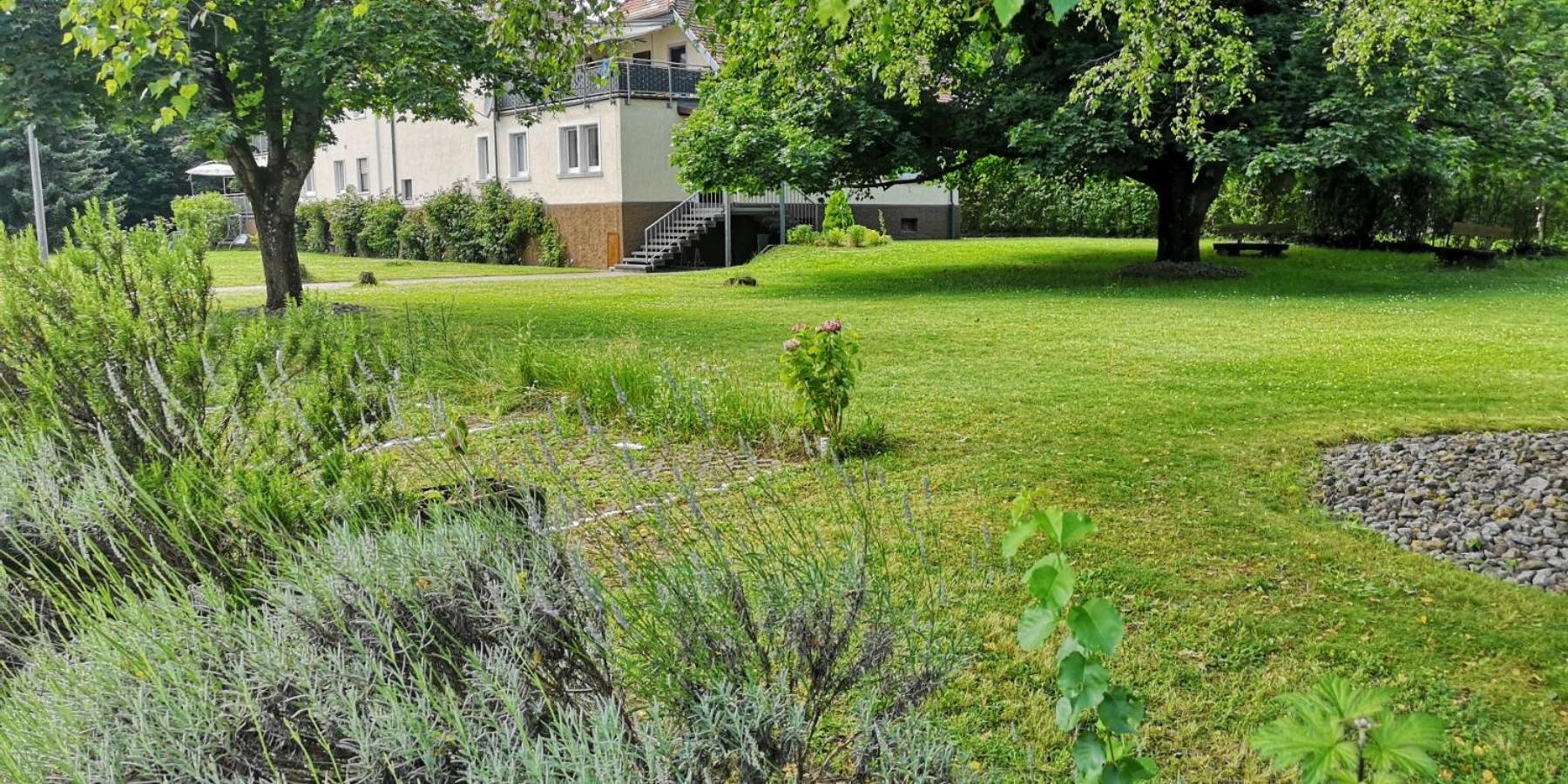 Ferienwohnung Niederwald Iffezheim Exterior foto