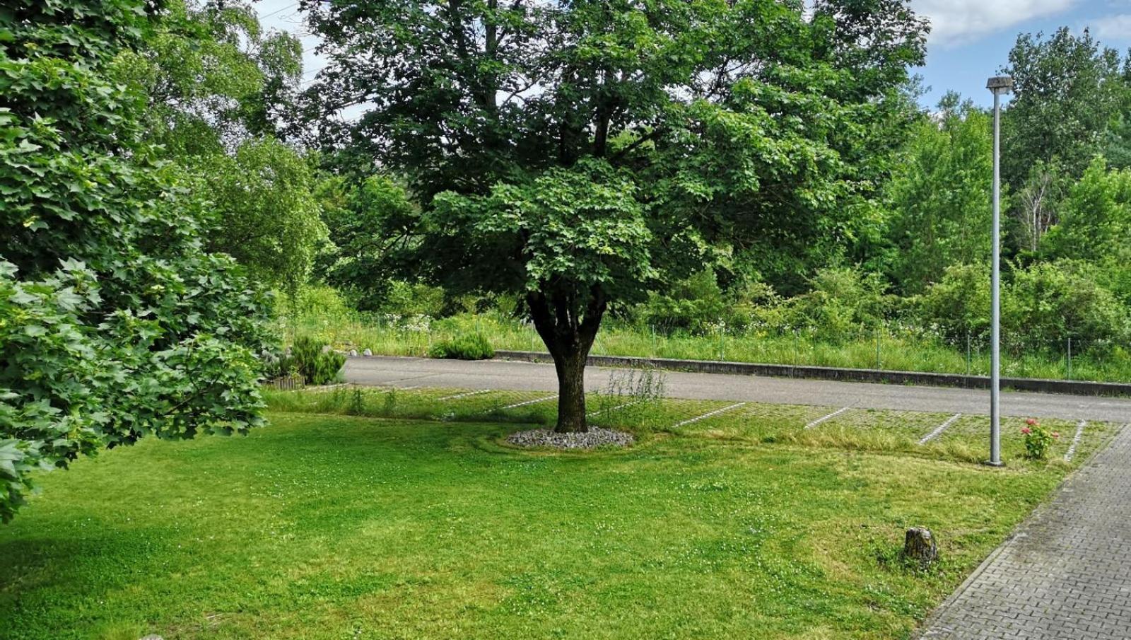 Ferienwohnung Niederwald Iffezheim Exterior foto
